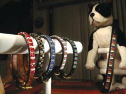 Beautiful Pet Bling